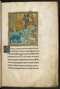 Royal 12 F.XIII, f.7 Een luipaard die een hert achtervolgt, met een kameel en een ander dier, uit Bestiarium (ff. 3-141), Lapidarium (ff. 141v-149), 2e kwart van de 13e eeuw door English School