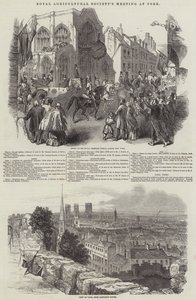 Vergadering van de Koninklijke Landbouwmaatschappij, in York door English School