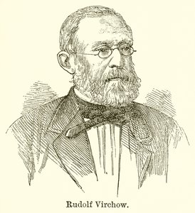 Rudolf Virchow door English School