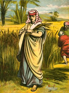 Ruth die aren raapt