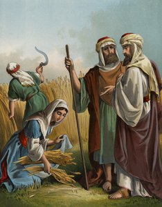 Ruth die aren raapt in het veld van Boaz