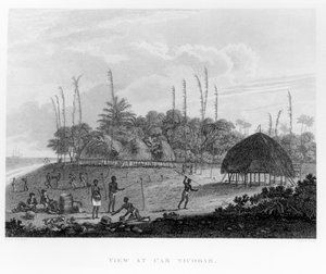 Zeelieden verzamelen proviand bij Car Nicobar, uit Reizen en Reizen naar India, Ceylon, De Rode Zee... door George, Burggraaf Valentia, gepubliceerd 1809 door English School