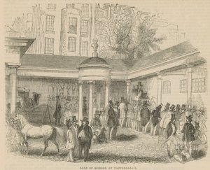 Verkoop van paarden bij Tattersalls door English School