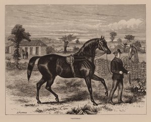 "Saunterer" (gravure) door English School