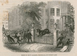 Scène in Privy Gardens