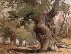 Scène in Sherwood Forest