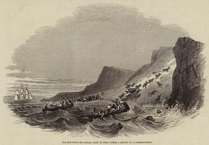 Zeeleeuwenjacht bij Callao, Kust van Peru (gravure) door English School