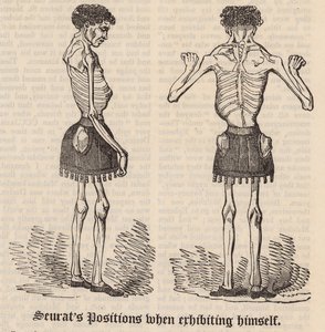 Seurats posities bij het tentoonstellen van zichzelf