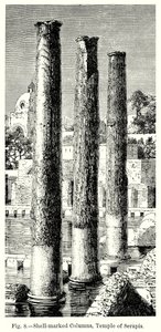 Met schelpen gemarkeerde zuilen, Tempel van Serapis (gravure) door English School