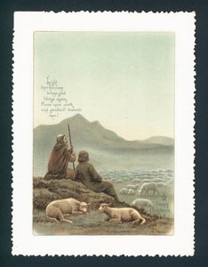 Herder en schapen