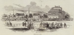 Shrewsbury Races door English School