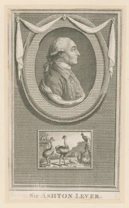 Sir Ashton Lever door English School