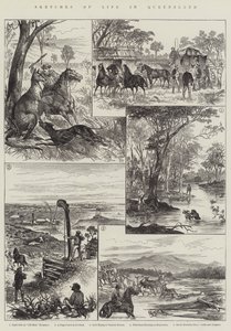 Schetsen van het Leven in Queensland door English School