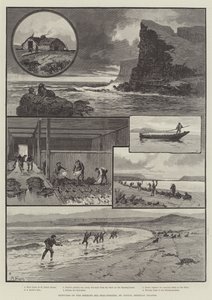 Schetsen van de Behringzee Zeehondenvisserij, St. Paul