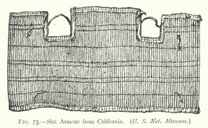 Lattenpantser uit Californië