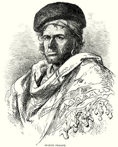 Spaanse boer (gravure) door English School