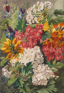 Lentebloemen (kleurenlitho) door English School