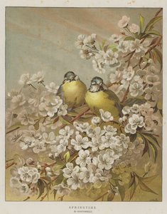 Lente
