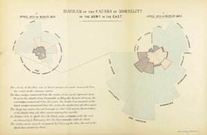 Statistische grafiek uitgevonden door Florence Nightingale om de overheersing van ziekte als doodsoorzaak in het Britse leger tijdens de Krimoorlog te tonen, april 1854 tot maart 1855 en april 1855 tot mei door English School