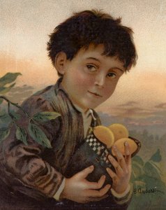 Gestolen fruit