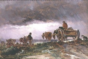 Storm op de heide