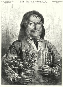 Verhaal van een bloem (gravure) door English School
