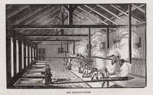 Suikerproductie (gravure) door English School