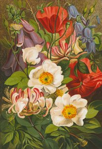 Zomerbloemen (kleurenlitho) door English School