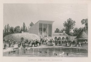 Surrey Zoologische Tuinen door English School