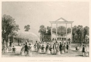 Surrey Zoological Gardens, Kennington, Londen: het nieuwe Orkest door English School