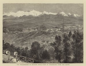 Theecultivatie in Brits-Indië, Uitzicht op Darjeeling vanuit het zuiden door English School