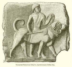 Terracotta tablet uit Babylon, voorstellende een Indiase hond