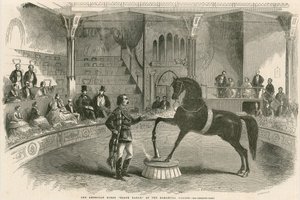 Het Amerikaanse paard Black Eagle in het Alhambra Palace (Alhambra Theater), Leicester Square, Londen door English School