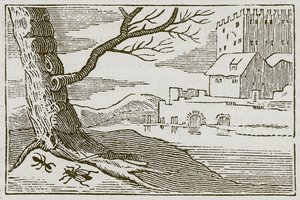 De mier en de vlieg (gravure) door English School
