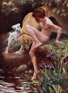 De baders - jongen en honden zwemmen door English School