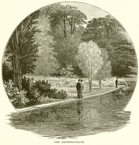 De Zwemplek