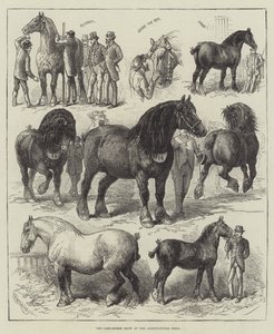 De Karthorsenshow in de Agricultural Hall (gravure) door English School