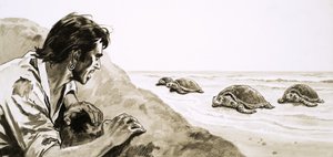 De schipbreukelingen: Terreur van Schildpaddeneiland door English School