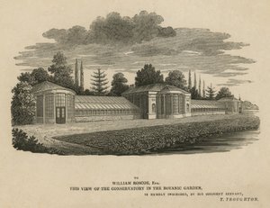 De Kas in de Botanische Tuin, Kew, Londen door English School