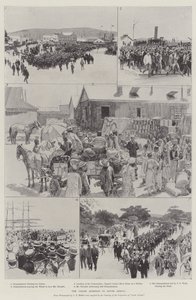 De Koelievraag in Zuid-Afrika door English School