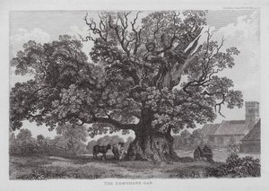 De Cowthope-eik door English School