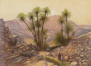 De Woestijn van Sinaï