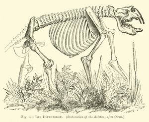 De Diprotodon door English School