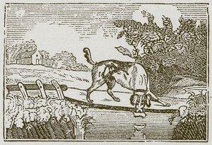 De hond en de schaduw (gravure) door English School