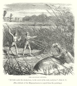 De Egyptische Jager (gravure) door English School