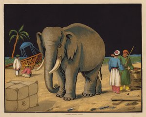 De Olifant door English School