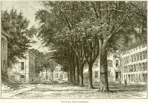 De Elms, Yale Universiteit