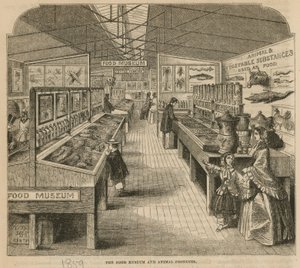 Het Voedselmuseum en Dierlijke Producten, South Kensington Museum door English School