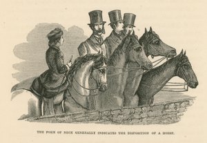 De vorm van de hals geeft over het algemeen de dispositie van een paard aan (gravure) door English School