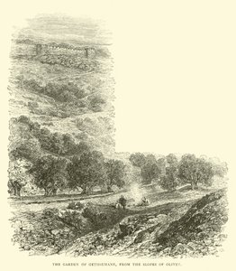 De Hof van Getsemane, vanaf de hellingen van Olivet door English School